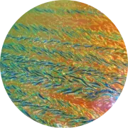 cbsdichroicsalmononclearherringbonerippleglasscoe90h600-updated.png