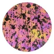 CBS Dichroic Coating Green/ Magenta Blue Aurora Borealis Pattern on Bullseye Black Fractures with Black Streamers on Clear Glass COE90