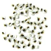 Chickadee Murrini/ Millefiore COE90