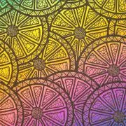 Etched Citrus Slices Pattern on Thin Glass COE96