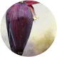 Color Line Paint Pen, Eggplant 2.2 oz.
