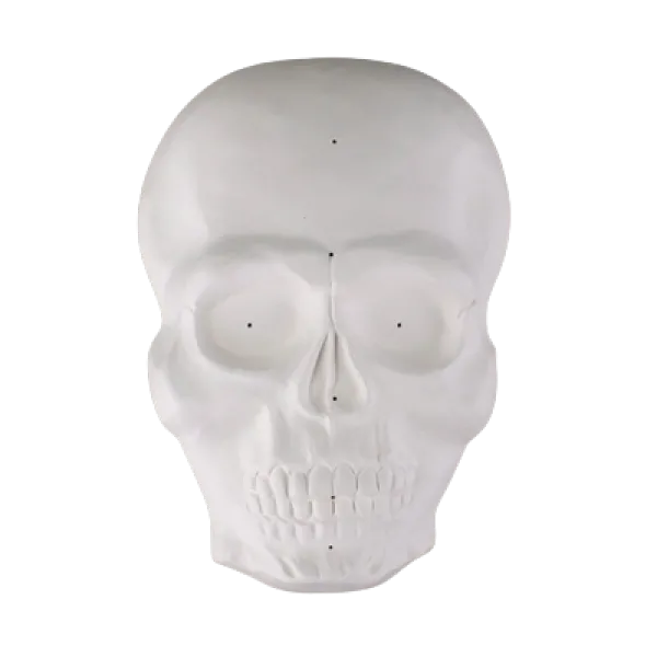 Skull Mask Draping Mold