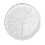 cpi.mold.lf113.png