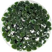 Dark Green Leaves Murrini/ Millefiore Sticks COE96
