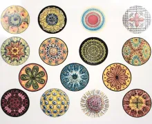 Diatoms Color Decal Sheet