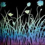 Etched Iridescent Poppy Pattern COE90