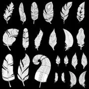 Etched Feather Silhouette Pattern