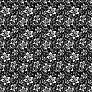 Etched Lily Pattern
