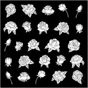 Etched Rose Silhouette Pattern