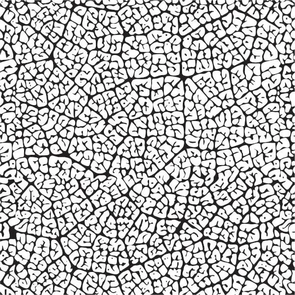 Etched Sea Fan Pattern