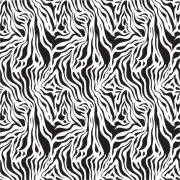 Etched Zebra 2 Pattern