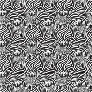 Etched Zebra 3 Pattern