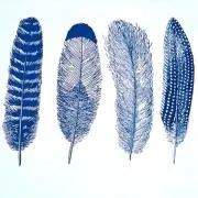 Feathers_Decal_Sheet.jpg