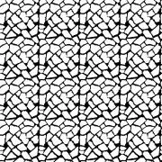 Etched Giraffe Pattern