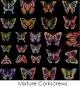 Etched Butterfly Silhouette Pattern on Thin Glass COE90