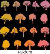 agsetchedtreesilhouettepatternonthinglasscoe96.jpg