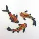 Koi Casting Mold