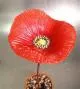Poppy Casting Mold