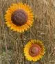 Sunflower Casting Mold