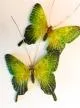 Swallowtail Butterfly Casting Mold