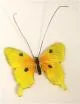 Swallowtail Butterfly Casting Mold