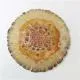 Mushroom Cap Frit Casting Mold