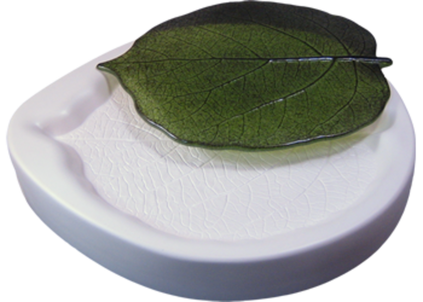 Kiwi Leaf Mold