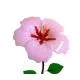 Large Hump with Drop Flower Mold
