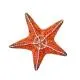 Large Starfish Casting Mold
