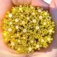 Marigold and French Vanilla Flowers Murrini/ Millefiore Sticks COE90