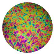 CBS Dichroic Coating Green/ Magenta Fusion Pattern on Thin Black  Glass COE96