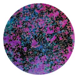 CBS Dichroic Coating Mini Double Splatter Pattern on Thin Clear Glass COE90