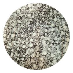 CBS Dichroic Coating Silver with Stell Timepieces Pattern Glass COE96