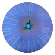 CBS Dichroic Coating Violet Voltage Pattern on Thin Black Glass COE90