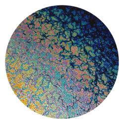 CBS Dichroic Coating Rainbow 2 Fusion on Wissmach Thin Black Moss Textured Glass COE96