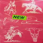 Designer Silk Screen Texas-2 Pattern