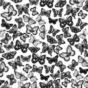 Etched Butterflies Pattern