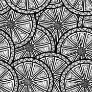 Etched Citrus Slices Pattern