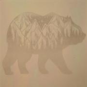 Etched Luminescent Bear Pattern COE96