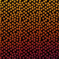 Etched Paw Print Pattern on Thin Glass COE90