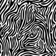 Etched Zebra Pattern