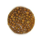 Butterscotch Frit Balls COE90