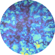 cbs-dichroic-coating-blue-gold-fusion-pattern-on-oceanside-clear-rainwater-texture-glass-coe96-sku-176794-526x526.png