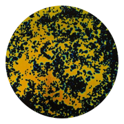 CBS Dichroic Coating Cyan/ Copper Splatter Pattern on Thin Black Glass COE90