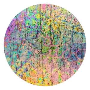 CBS Dichroic Coating Mixture Reptilian Pattern on Bullseye Mardi Gras Glass COE90