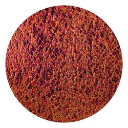 CBS Dichroic Coating Candy Apple Red on Black Ripple  COE96