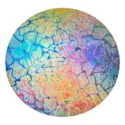 CBS Dichroic Coating Mixture Reptilian Pattern on Oceanside Clear Krinkle Texture Glass COE96