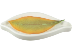 Cloud Forest Magnolia Mold