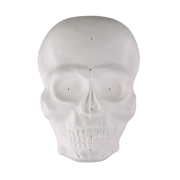 Skull Mask Draping Mold