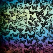 Etched Iridescent Butterflies Pattern COE90